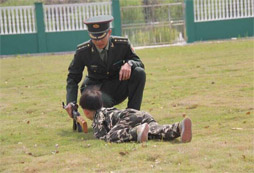 智慧需要培養(yǎng)？看上海121軍事冬令營老師怎么說