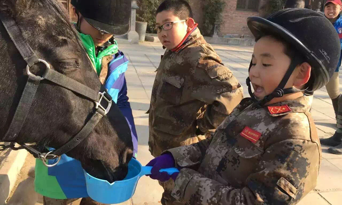 與馬兒成為好朋友