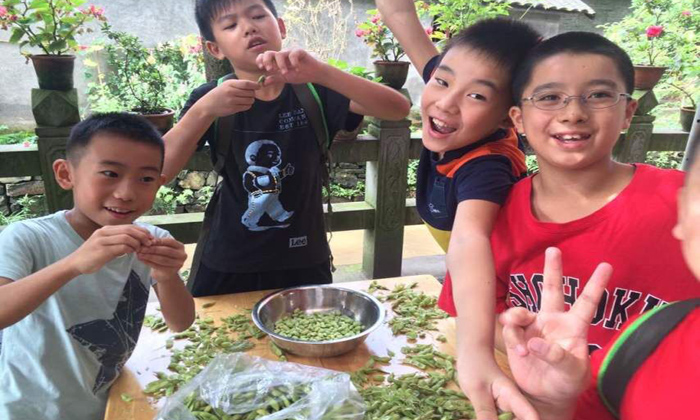 成都中小學(xué)生打工冬令營(yíng)你不知道的這些事