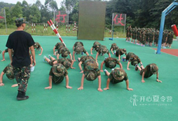 2017參加成都軍事冬令營(yíng)有哪些收獲？