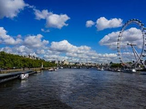1073_P_1469667242568.jpg