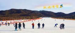 為什么假期要讓孩子參加國內(nèi)滑雪冬令營？