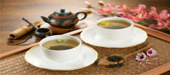 山東國(guó)學(xué)冬令營(yíng)介紹茶的起源