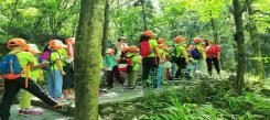 來(lái)湖北小學(xué)生研學(xué)冬令營(yíng)開(kāi)啟奇妙探索之旅