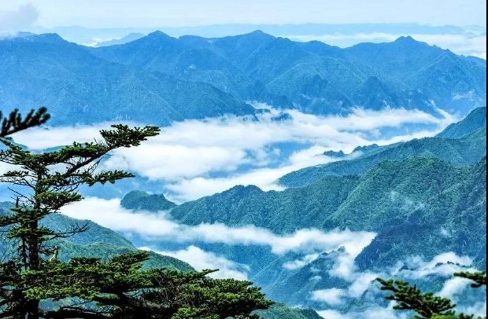 湖北自然探索冬令營