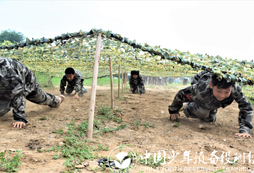 軍事冬令營有哪些活動？