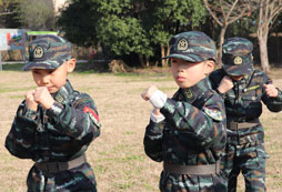 軍體拳活動