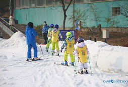 排隊(duì)滑雪