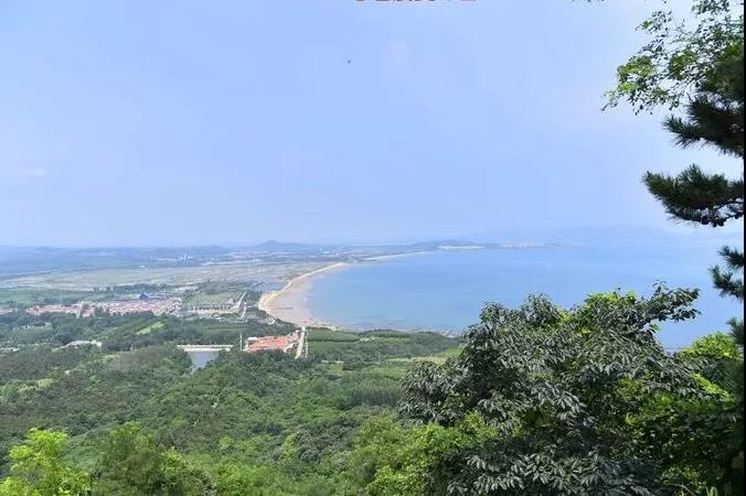 山東海濱冬令營
