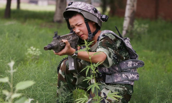 山東軍事夏令營.jpg