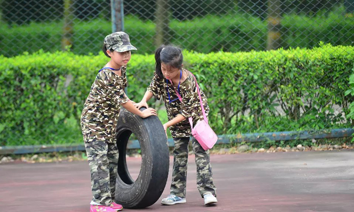 深圳冬令營低價課程匯總