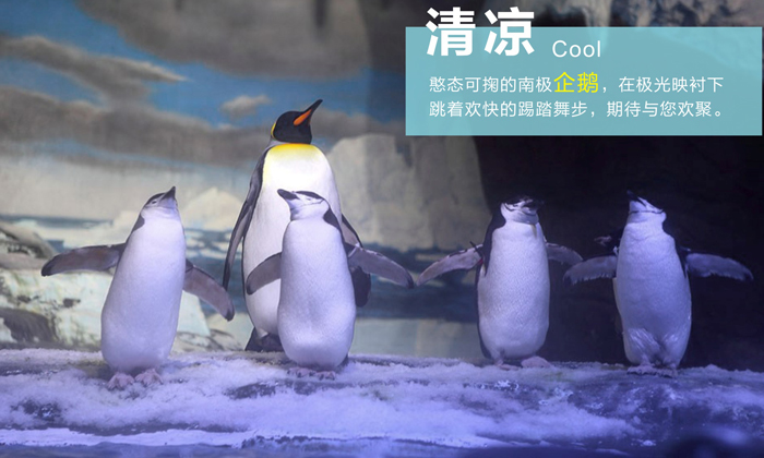 四川學能冬令營課程特色