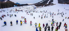 武漢有滑雪冬令營(yíng)嗎？