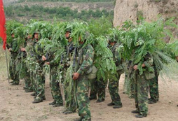 在冬令營的采用軍事化封閉式管理