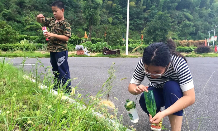 浙江軍事拓展冬令營收費情況