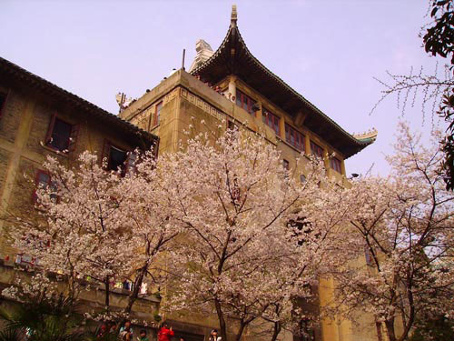 武漢大學(xué)